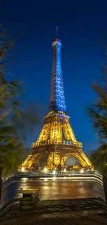 Eiffel Tower illuminated against a night sky, framed by greenery.