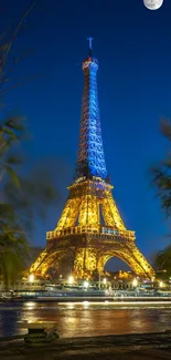 Night view of the illuminated Eiffel Tower framed by plants.