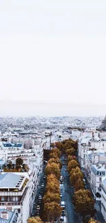 Mobile wallpaper featuring the Eiffel Tower with a Paris cityscape background.