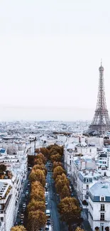 Aerial view of Paris with Eiffel Tower under a clear blue sky.