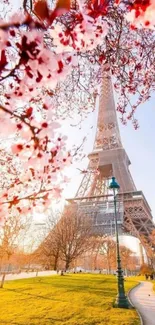 Eiffel Tower surrounded by cherry blossoms in spring with a clear blue sky backdrop.