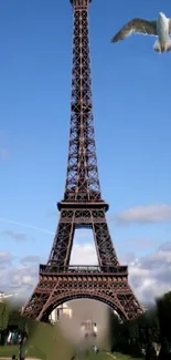 Eiffel Tower with blue sky and a soaring bird in the background.