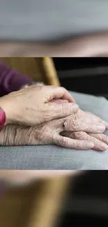 Gentle hands offering comfort and care in a heartwarming scene.