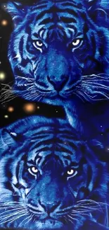 Electric blue tiger with cosmic background wallpaper.