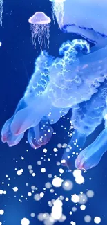 Mesmerizing electric jellyfish glowing underwater in a vibrant blue ocean scene.