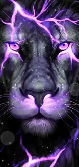 Electric lion with purple lightning art wallpaper.