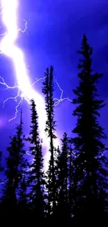 Lightning bolt over dark forest at night, casting intense illumination.