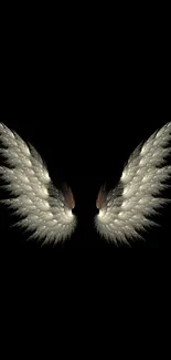 Elegant angel wings on a black background, perfect for phone wallpaper.