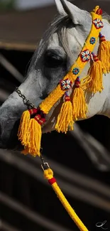 Elegant Arabian horse with colorful tack, perfect for mobile wallpaper.