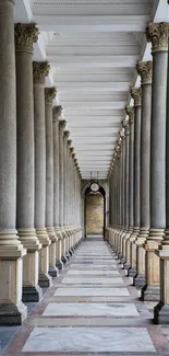 Symmetrical view of elegant architectural columns with classic appeal.