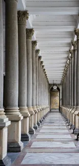 Symmetrical corridor with classical stone columns and intricate ceiling.