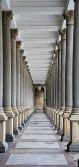 Elegant architectural corridor with stately columns in a grand hallway setting.