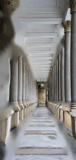 Elegant and symmetrical architectural corridor with stone columns and detailed ceiling.