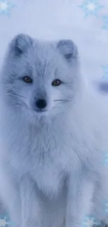 Elegant arctic fox in snowy scene with blue snowflake border.