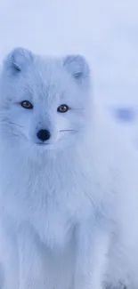 Majestic arctic fox with white fur in a serene icy setting.