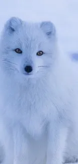 A majestic Arctic fox in snowy landscape, mobile wallpaper.