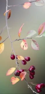 Delicate branch with autumn leaves and berries on a gradient background.