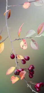 Elegant branch with autumn leaves and berries on a green background.