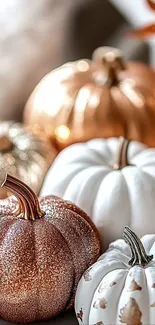 Close-up of glittery pumpkins in autumn colors.