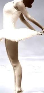 Elegant ballerina in a graceful pose against a soft gray background.