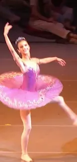 Ballet dancer in pink tutu gracefully performs on stage.