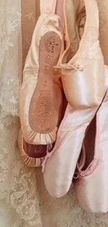 Ballet shoes hanging on lace background.