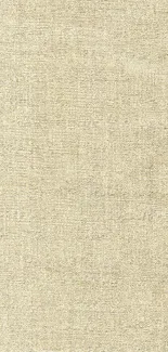 Elegant beige textured wallpaper for mobile phone screen.