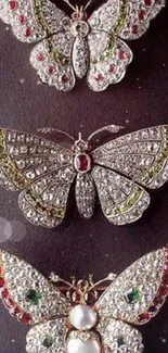 Bejeweled butterflies on dark gray background wallpaper.