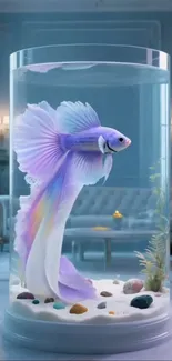 Elegant Betta fish in a modern aquarium setting.