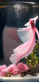 Elegant pink betta fish swimming in a beautifully decorated fish tank.