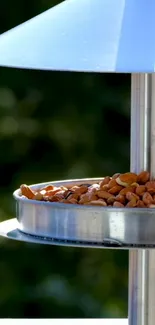 Elegant bird feeder with nuts against green foliage.