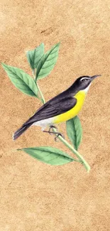 Elegant bird with yellow belly on leafy branch on textured brown wallpaper.