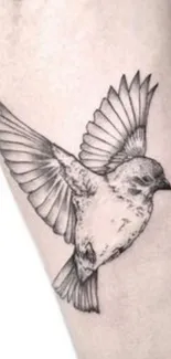 Black ink bird tattoo on an arm, minimalist style.