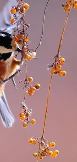 Bird perched on berry branches, vibrant and elegant.