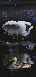 Elegant birds with colorful bubbles on a serene water background.