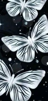 Elegant black and white butterfly wallpaper with a dark background.