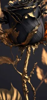 Black rose with gold accents on elegant wallpaper.