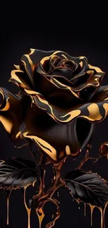 Elegant black and gold rose wallpaper, perfect for mobile backgrounds.