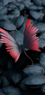 Red butterfly on dark leaves, creating a striking contrast for mobile wallpaper.