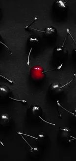 Black cherries with one red cherry against a dark background.