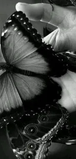 Black and white butterflies resting gently on an open hand, providing an elegant look.