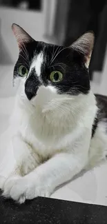 Black and white cat with green eyes laying down.