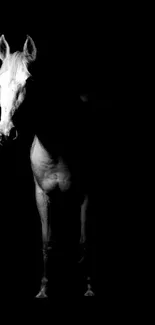 Black and white image of an elegant horse on a dark background.