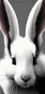 Elegant black and white rabbit in minimalist wallpaper design.