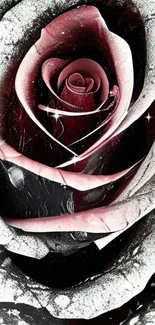 Black and white rose with red accents for mobile wallpaper.