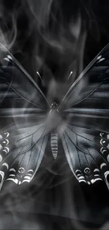 Elegant black butterfly on a dark background with intricate details.