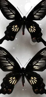 Black butterflies on white background wallpaper.