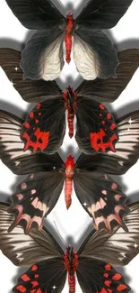 Mobile wallpaper with elegant black butterflies and red accents.