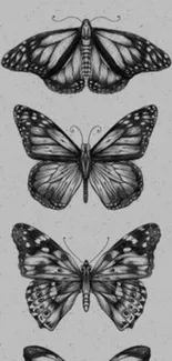 Monochrome butterfly illustration on gray background for mobile wallpaper.