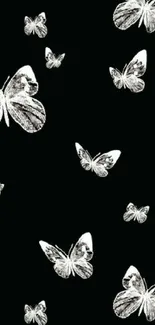 Elegant black wallpaper with white butterflies for mobile phones.